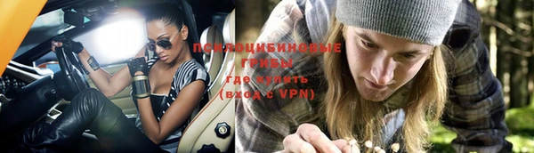эйфоретик Алексеевка