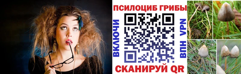 Галлюциногенные грибы Magic Shrooms Мирный